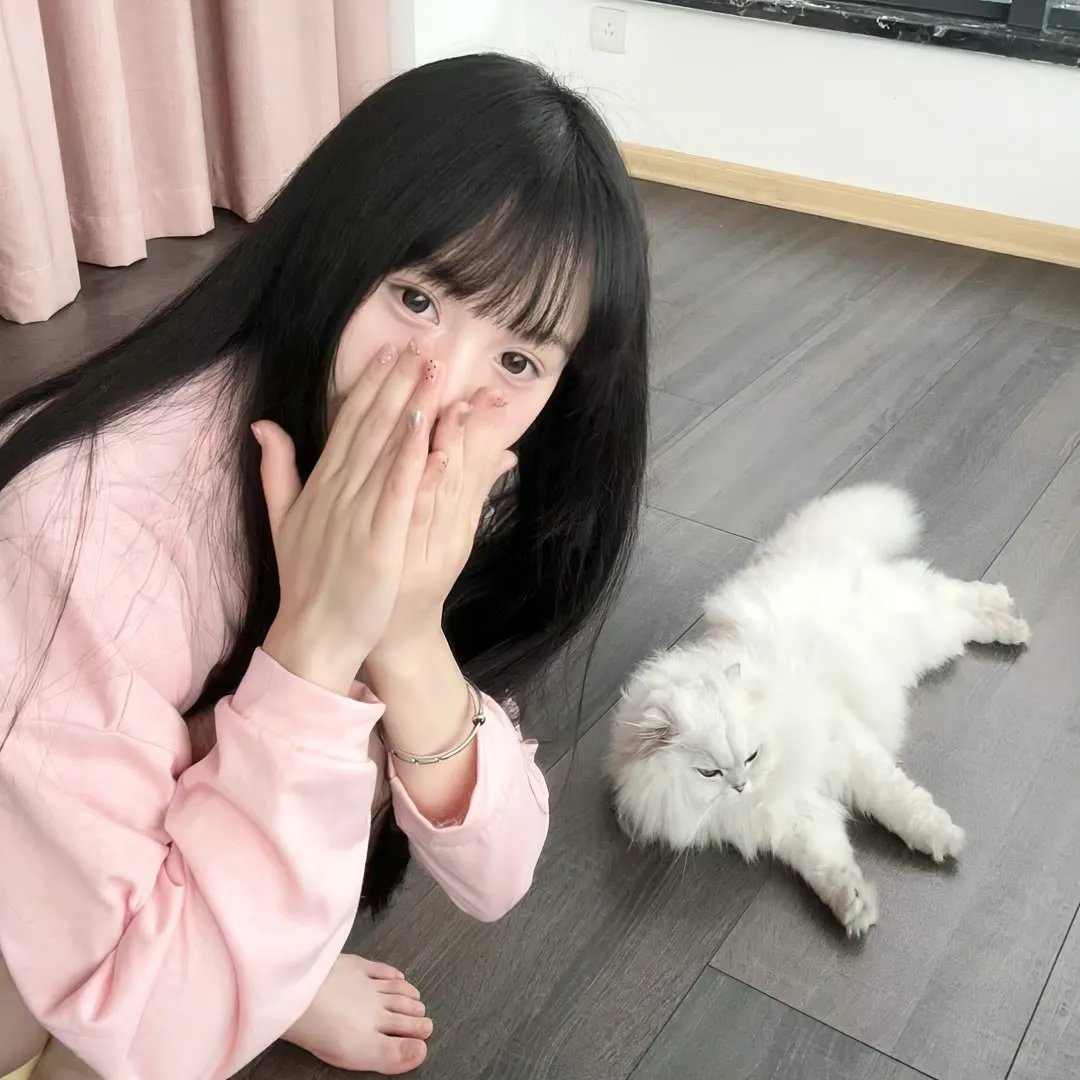 让我们堂堂正正结婚吧海报